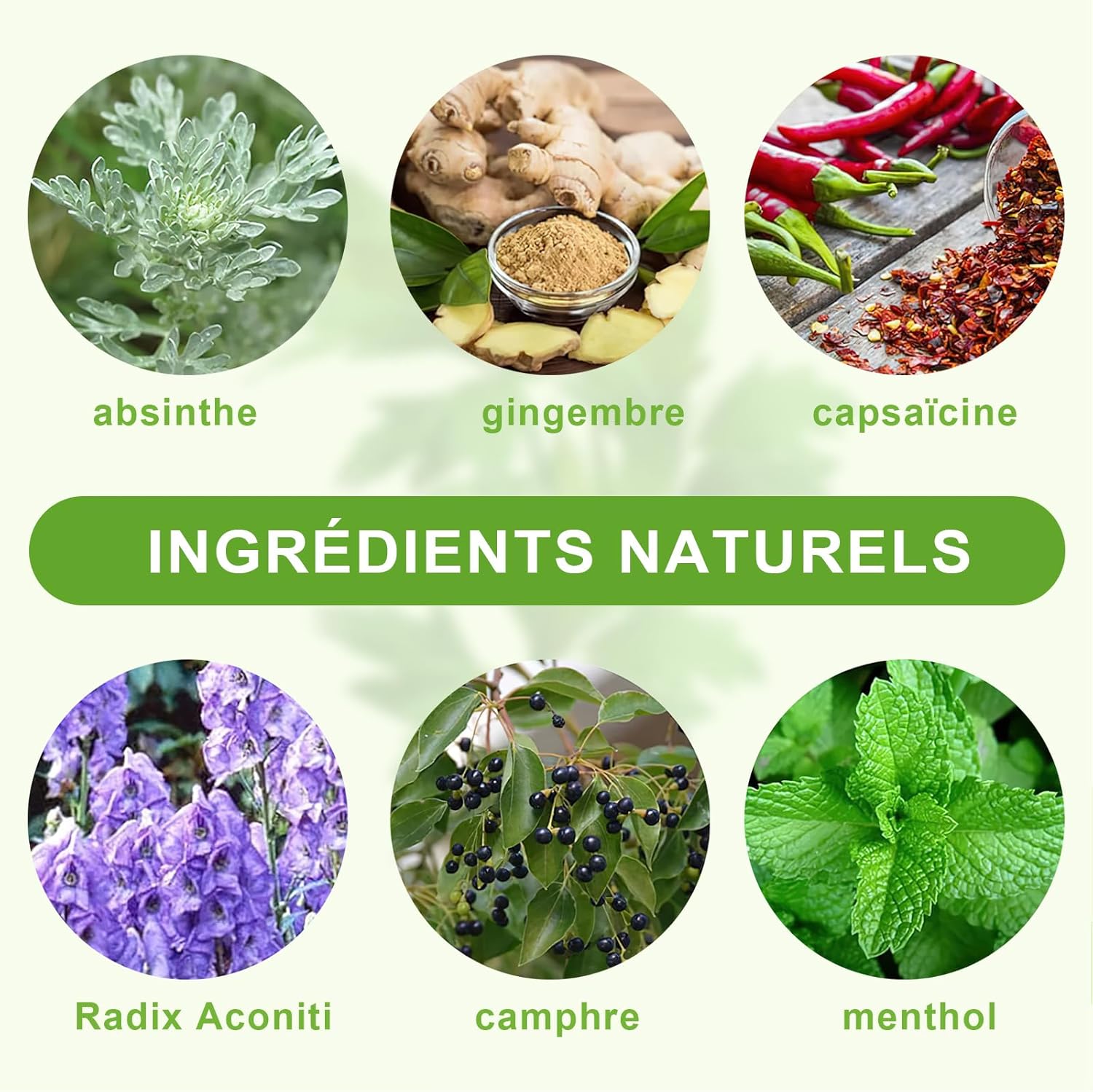 Cure de Patchs Absinthe Naturels – anti-inflammatoire - Régénérez Vos Articulations et muscles - ergocush